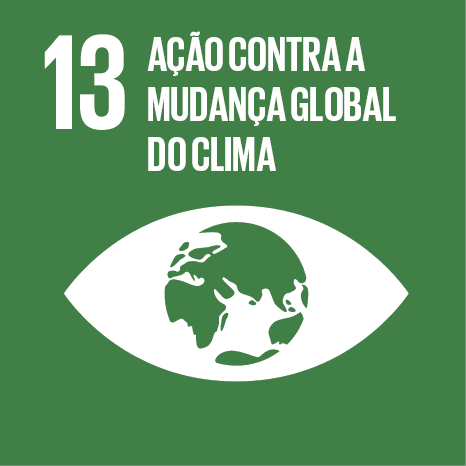 ODS 13: Ação Contra a Mudança Global do Clima